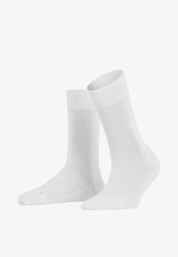 Falke_sensitive_london_SO