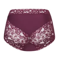 Ten_cate_secrets_high_waist_lace_2